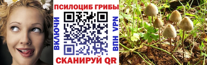 blacksprut маркетплейс Гаврилов-Ям darknet официальный сайт наркотики Псилоцибиновые грибы мухоморы