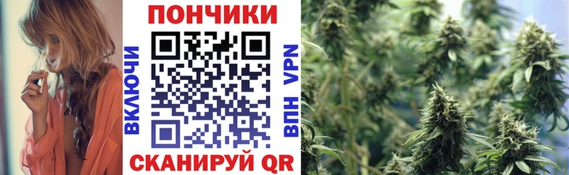 Каннабис OG Kush Гаврилов-Ям
